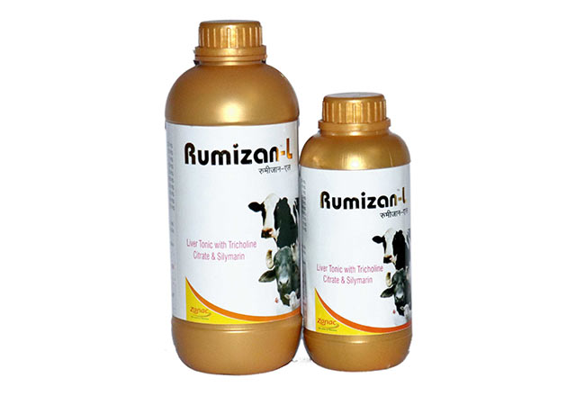 rumizanl